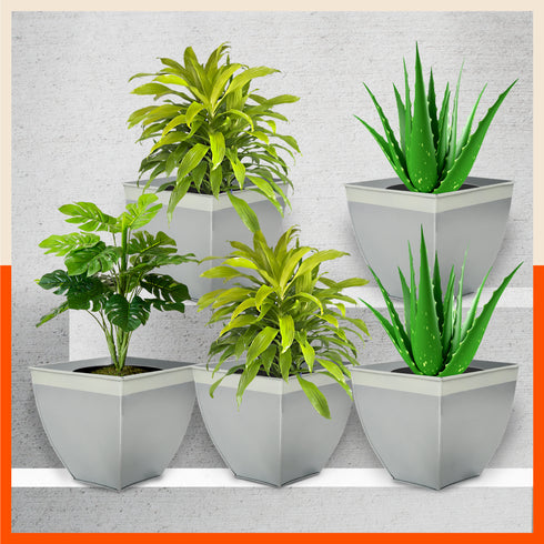 MYLA Metal Square Planters / Pots for Home / Garden / Balcony | Medium – Ash Grey & White - Set of 5